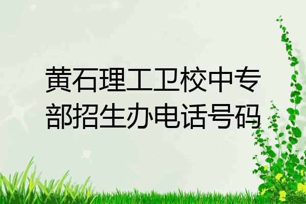 黄石理工卫校中专部招生办电话号码