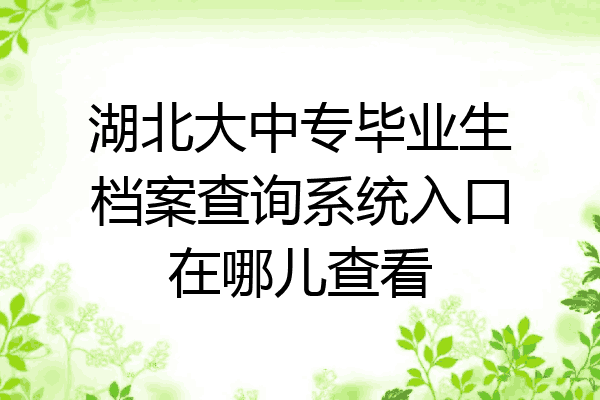 湖北大中专毕业生档案查询系统入口在哪儿查看