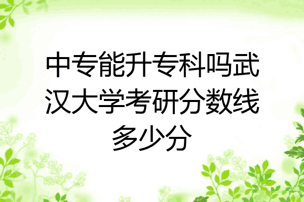 中专能升专科吗武汉大学考研分数线多少分