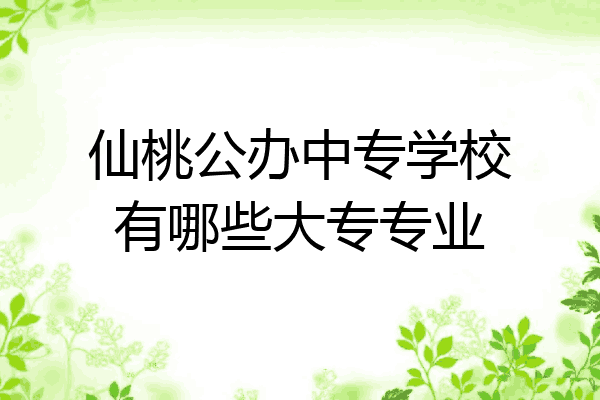 仙桃公办中专学校有哪些大专专业