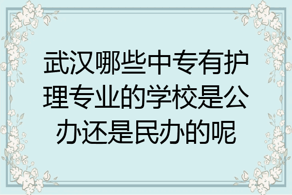 武汉哪些中专有护理专业的学校是公办还是民办的呢