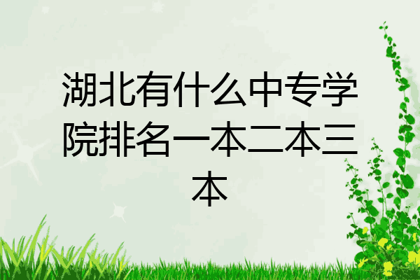 湖北有什么中专学院排名一本二本三本
