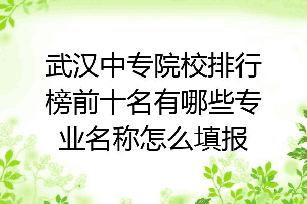 武汉中专院校排行榜前十名有哪些专业名称怎么填报