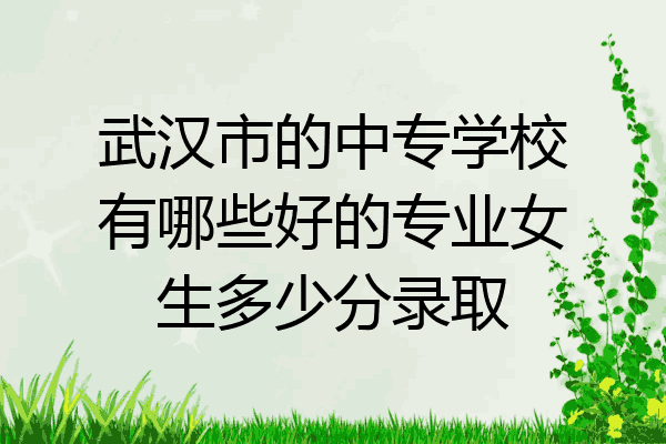 武汉市的中专学校有哪些好的专业女生多少分录取