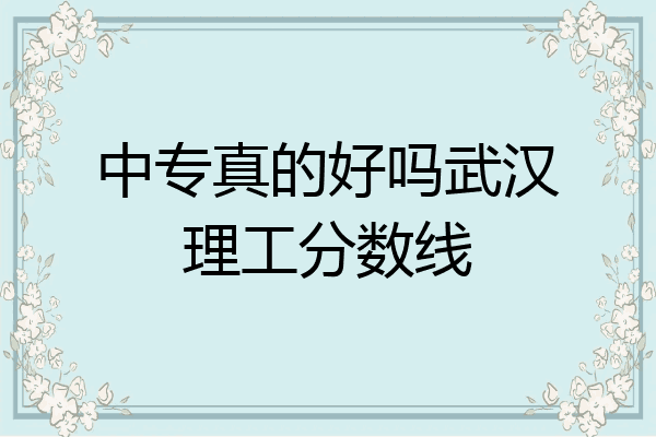中专真的好吗武汉理工分数线