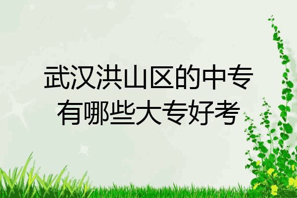 武汉洪山区的中专有哪些大专好考