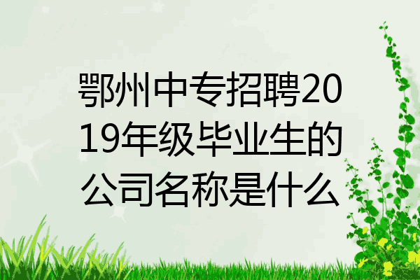 鄂州中专招聘2019年级毕业生的公司名称是什么