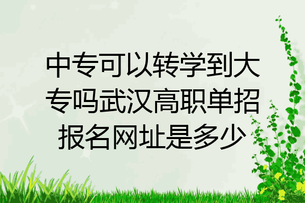 中专可以转学到大专吗武汉高职单招报名网址是多少