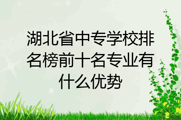 湖北省中专学校排名榜前十名专业有什么优势