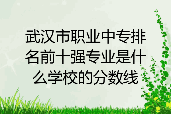 武汉市职业中专排名前十强专业是什么学校的分数线