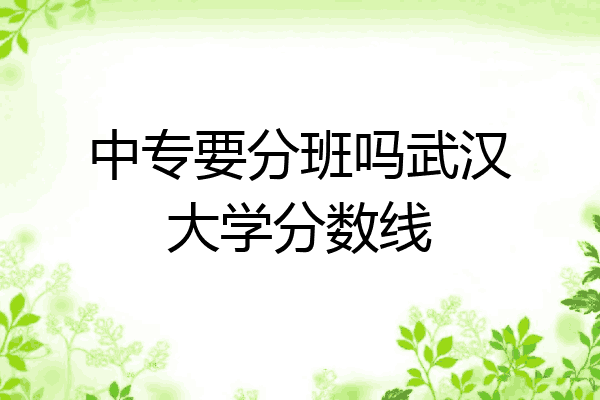 中专要分班吗武汉大学分数线