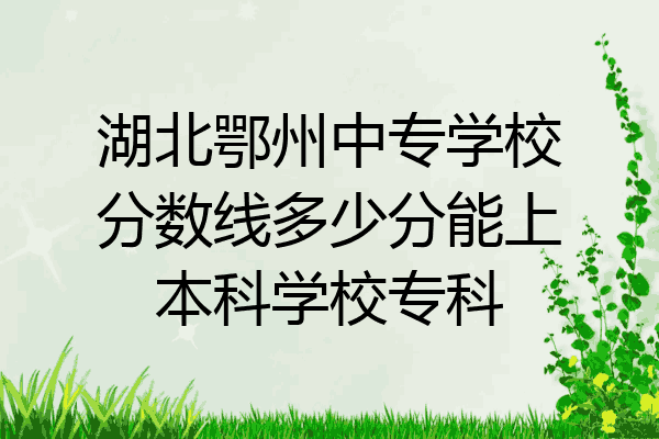湖北鄂州中专学校分数线多少分能上本科学校专科
