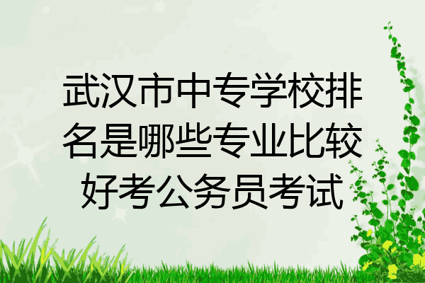 武汉市中专学校排名是哪些专业比较好考公务员考试