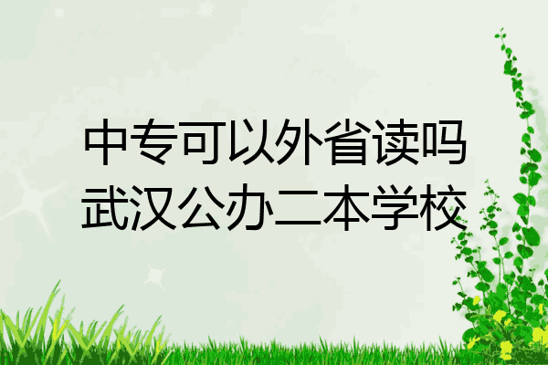 中专可以外省读吗武汉公办二本学校