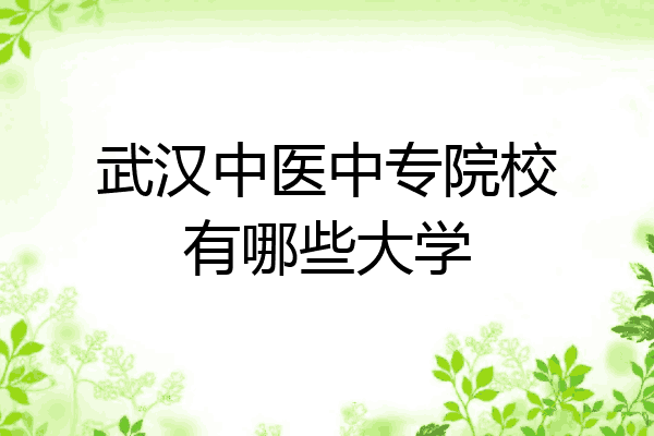 武汉中医中专院校有哪些大学