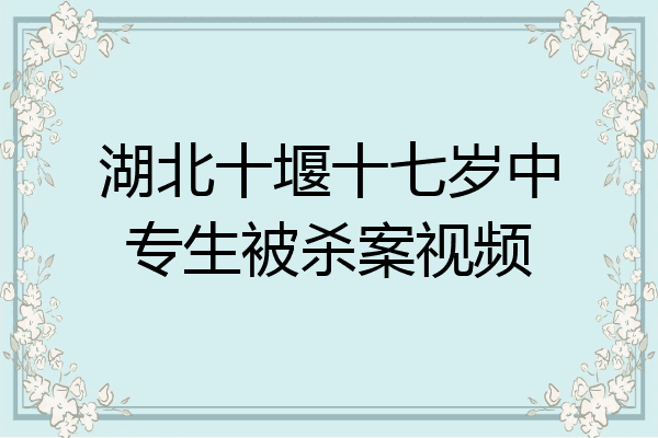湖北十堰十七岁中专生被杀案视频
