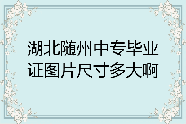 湖北随州中专毕业证图片尺寸多大啊