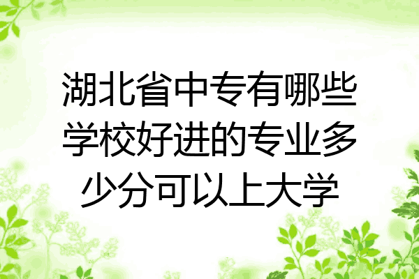 湖北省中专有哪些学校好进的专业多少分可以上大学