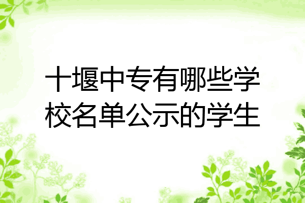 十堰中专有哪些学校名单公示的学生