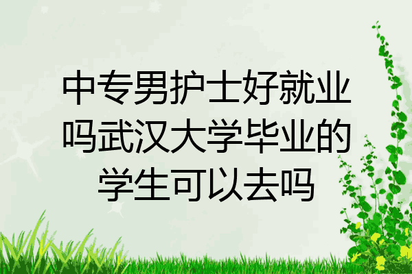 中专男护士好就业吗武汉大学毕业的学生可以去吗