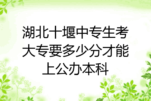 湖北十堰中专生考大专要多少分才能上公办本科