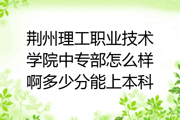 荆州理工职业技术学院中专部怎么样啊多少分能上本科