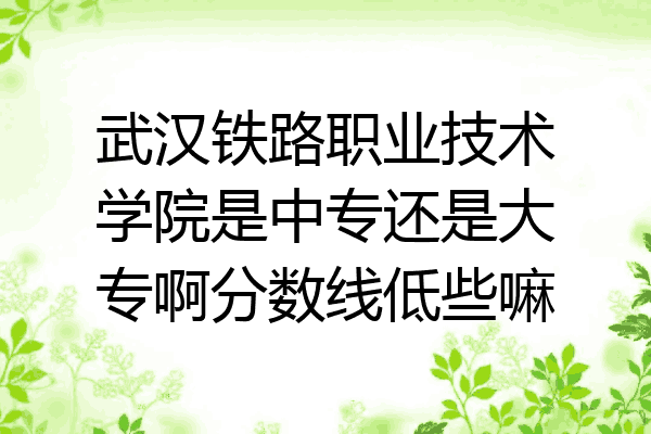 武汉铁路职业技术学院是中专还是大专啊分数线低些嘛