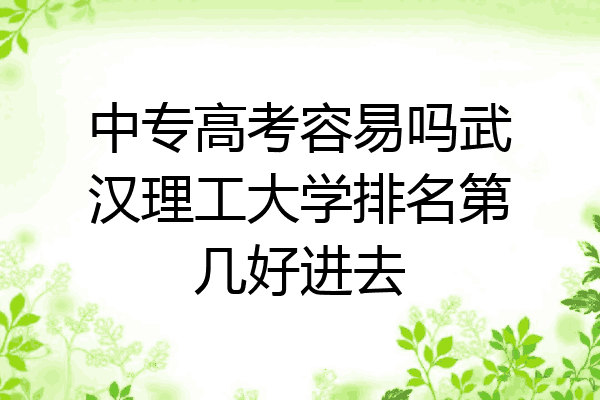 中专高考容易吗武汉理工大学排名第几好进去
