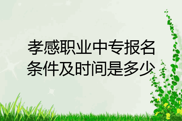 孝感职业中专报名条件及时间是多少