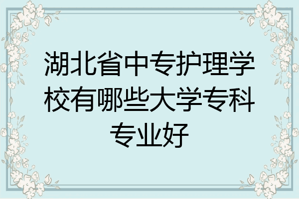 湖北省中专护理学校有哪些大学专科专业好