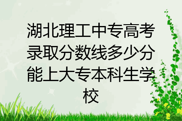 湖北理工中专高考录取分数线多少分能上大专本科生学校