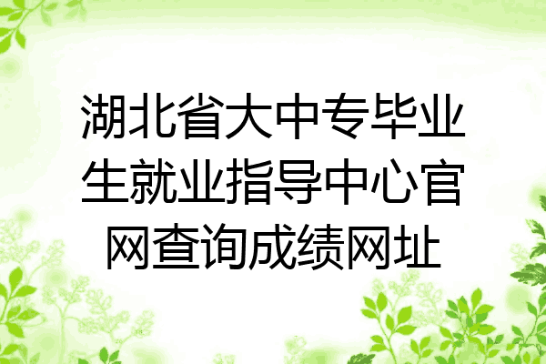 湖北省大中专毕业生就业指导中心官网查询成绩网址