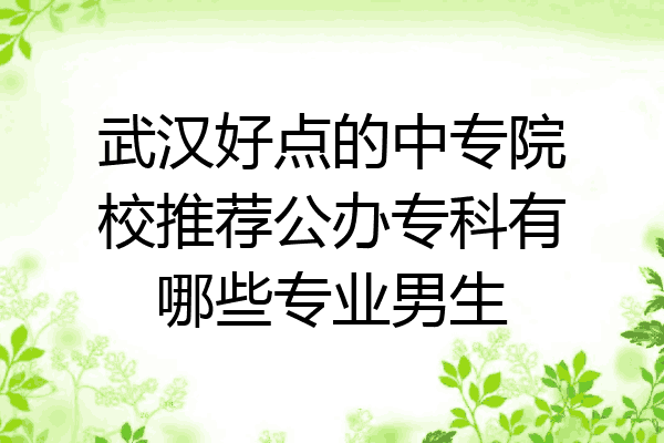 武汉好点的中专院校推荐公办专科有哪些专业男生