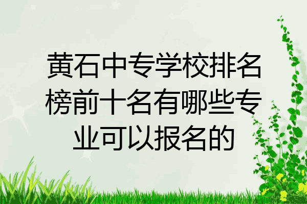 黄石中专学校排名榜前十名有哪些专业可以报名的