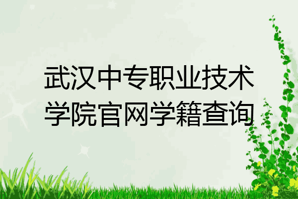武汉中专职业技术学院官网学籍查询