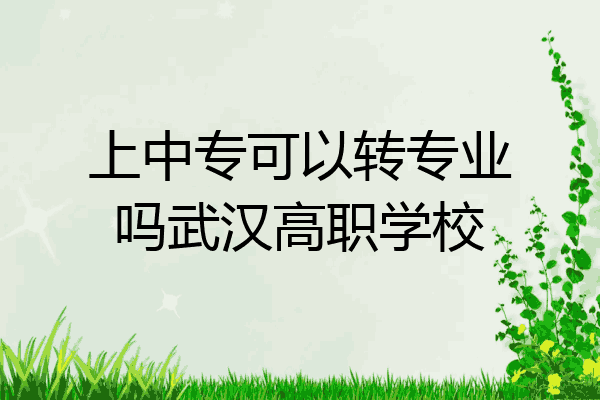 上中专可以转专业吗武汉高职学校