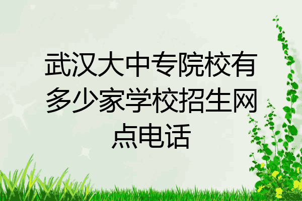 武汉大中专院校有多少家学校招生网点电话