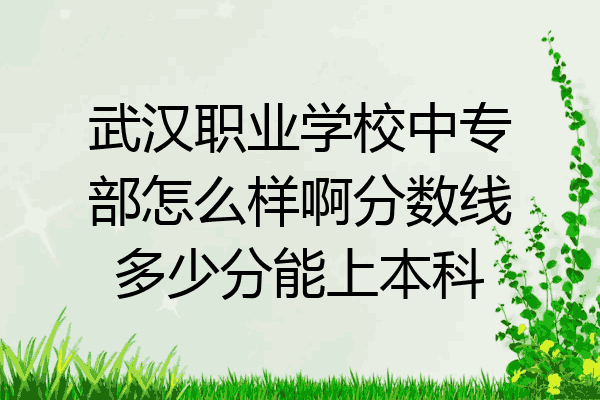 武汉职业学校中专部怎么样啊分数线多少分能上本科