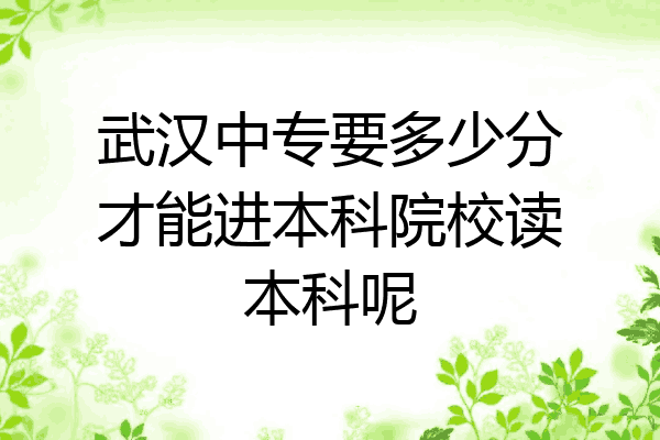武汉中专要多少分才能进本科院校读本科呢