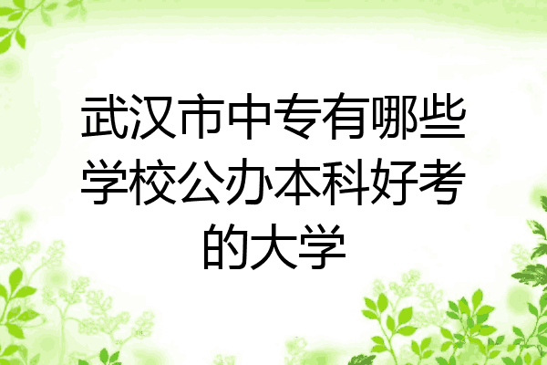 武汉市中专有哪些学校公办本科好考的大学