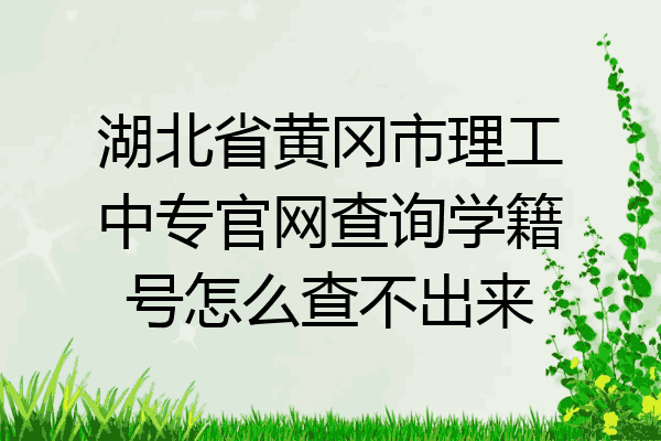 湖北省黄冈市理工中专官网查询学籍号怎么查不出来