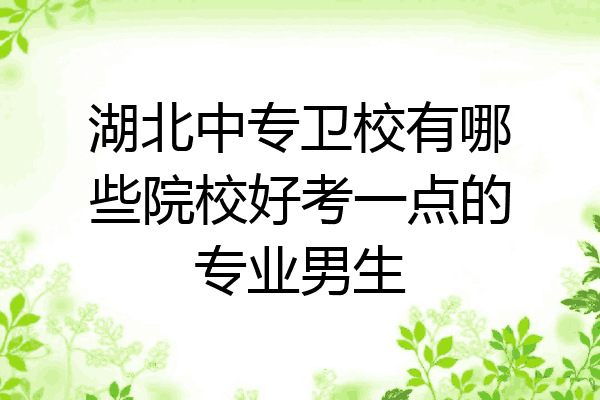 湖北中专卫校有哪些院校好考一点的专业男生