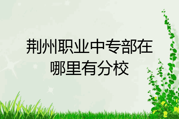 荆州职业中专部在哪里有分校