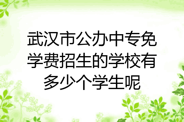 武汉市公办中专免学费招生的学校有多少个学生呢
