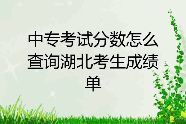 中专考试分数怎么查询湖北考生成绩单