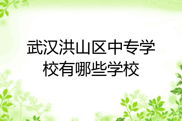 武汉洪山区中专学校有哪些学校