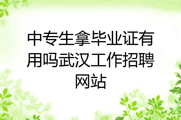 中专生拿毕业证有用吗武汉工作招聘网站