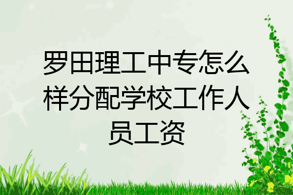 罗田理工中专怎么样分配学校工作人员工资