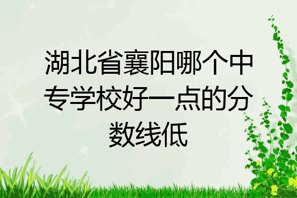 湖北省襄阳哪个中专学校好一点的分数线低