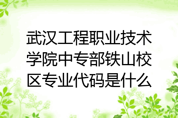 武汉工程职业技术学院中专部铁山校区专业代码是什么